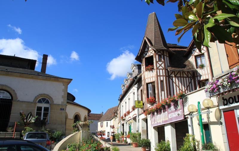 Logis Hotel Et Restaurant Du Dauphin Sées エクステリア 写真